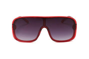 5 Color Women's Sunglasses—3619